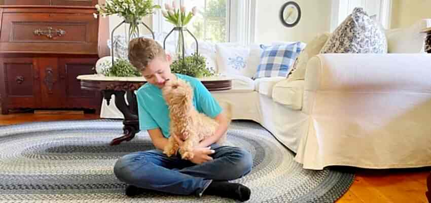 A boy is sitting on a braided wool rug in the living room with his dog.