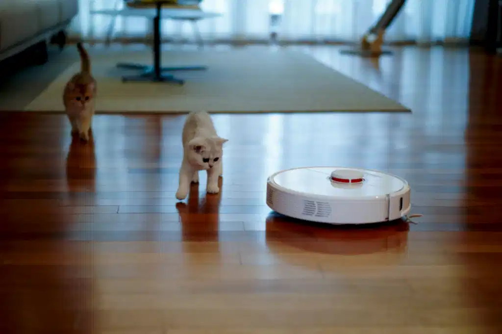 A robotic vacuum is exploring a home as two curious kittens observe. This fun activity aligns with our apartment cleaning checklist!