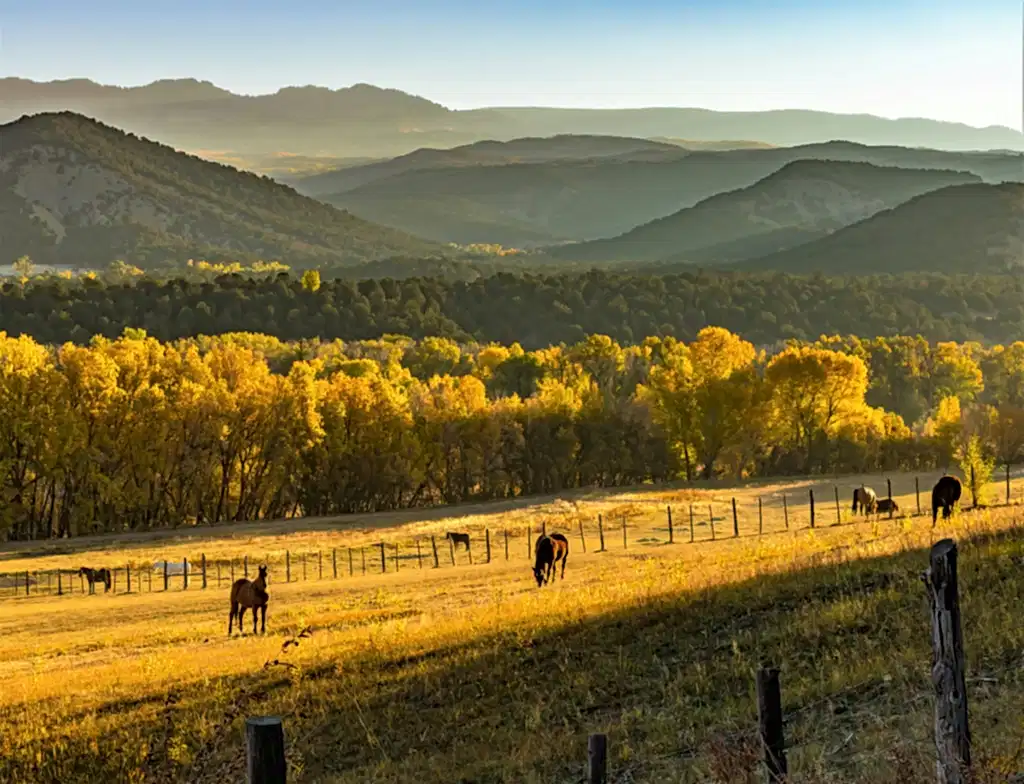 A ranch in Texas, much like the properties our Cinco Ranch cleaners go to.