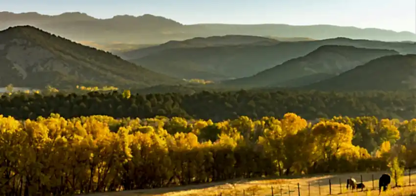 A ranch in Texas, much like the properties our Cinco Ranch cleaners go to.